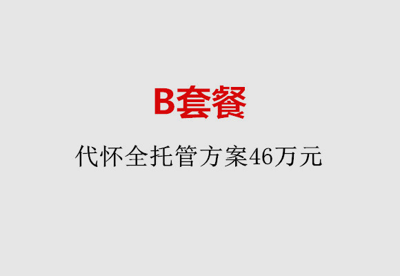 温州B套餐：代怀全托管方案46万元